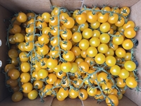 Picture of Yellow Cherry Vine Tomatoes