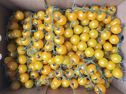 Picture of Yellow Cherry Vine Tomatoes
