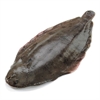Picture of Small Dover Sole