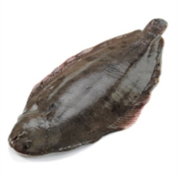 Picture of Small Dover Sole