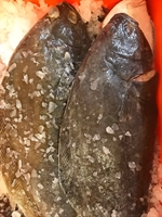 Picture of Whole Halibut