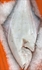 Whole Halibut