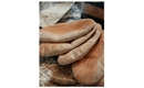 Picture of White Pitta Bread x 6