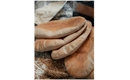 Picture of Wholemeal Pitta Bread x 6