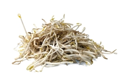 Picture of Beansprouts