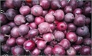 Picture of Kent Red Roasting Onions