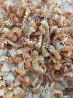 Picture of Langoustine Tails