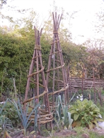 Picture of Handmade Chestnut & Hazel Teepee