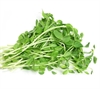 Picture of Cut Pea Shoots Tendril