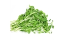 Picture of Cut Pea Shoots Tendril