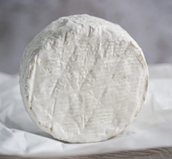 Picture of Cornish Brie