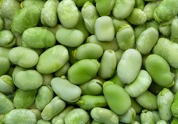 Picture of Frozen Broad Beans