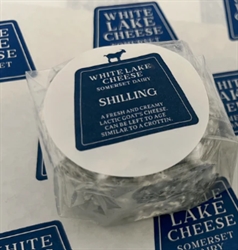 Picture of White Lake Shilling