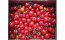 Picture of Red Salad Tomatoes