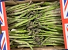 Picture of Wye Valley Asparagus Class 2