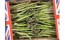 Picture of Wye Valley Asparagus Class 2