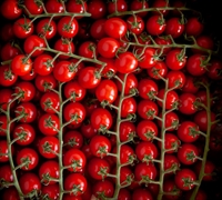 Picture of Arreton Jewel Tomatoes