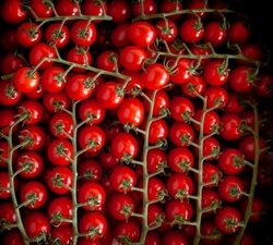 Picture of Arreton Jewel Tomatoes