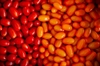 Picture of Miixed Baby Plum Tomatoes