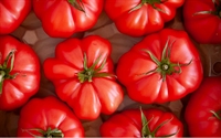 Picture of Pink Beefsteak Tomatoes