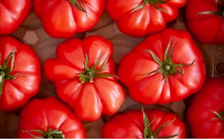 Picture of Pink Beefsteak Tomatoes