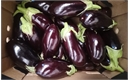 Picture of Lea Valley Aubergine