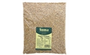 Picture of Chickpeas