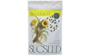 Picture of Gut Health Superblend