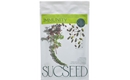 Picture of Immunity Superblend