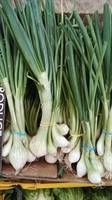 Picture of Spring Onions (bunch)