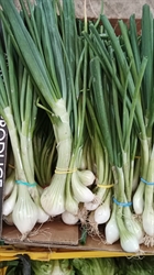Picture of Spring Onions (bunch)