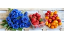 Picture of Cornflower, Strawberry & Tomato Bundle