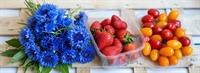 Picture of Cornflower, Strawberry & Tomato Bundle