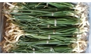 Picture of Spring Onions (bunched)