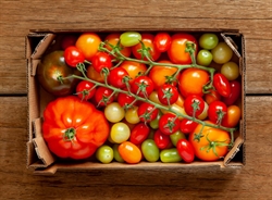 Picture of Organic Mixed Heritage Tomatoes