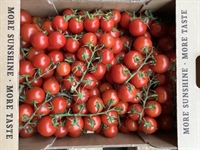 Picture of Organic Cocktail Vine Tomatoes
