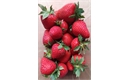 Picture of Rochester Strawberries