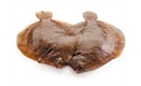 Picture of Lemon Sole