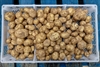 Picture of Casablanca New Potatoes