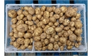 Picture of Casablanca New Potatoes