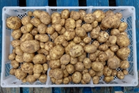 Picture of Casablanca New Potatoes
