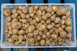 Picture of Casablanca New Potatoes