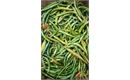 Picture of Fresh Chili