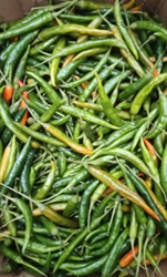 Picture of Fresh Chili
