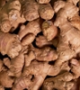 Picture of Root Ginger