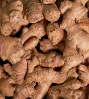 Picture of Root Ginger