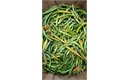 Picture of Green Bird's Eye Chillies
