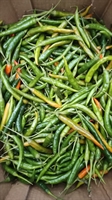 Picture of Green Bird's Eye Chillies