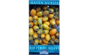 Picture of Large Yellow Plum Tomatoes