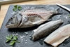Picture of Whole Black Bream, Filleted (Bones included)